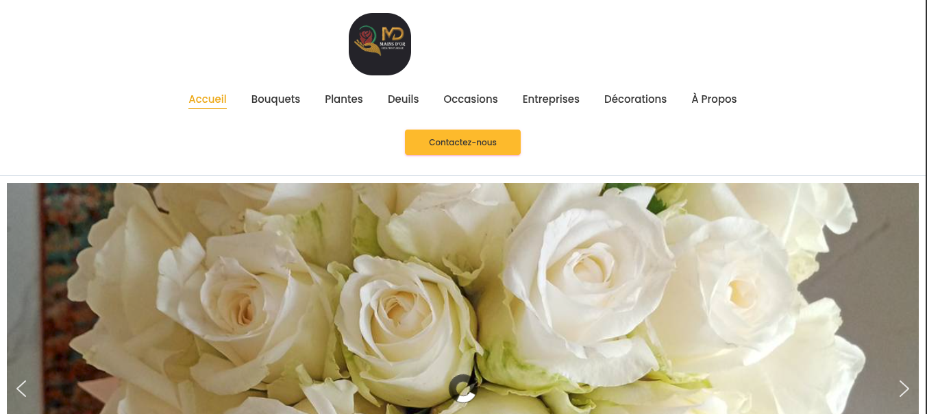 Site web Baba Sadjo Consulting